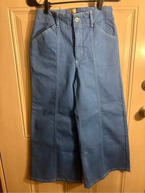 Maeve Women’s blue size 27 Delaney Clean Wide leg high rise pants